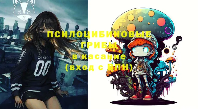 Псилоцибиновые грибы MAGIC MUSHROOMS  Кореновск 